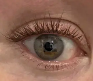 Foto bij de review 2